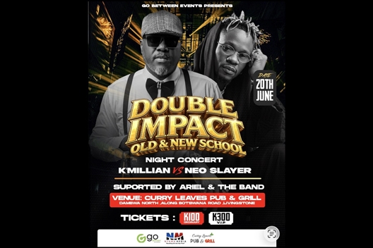DOUBLE IMPACT